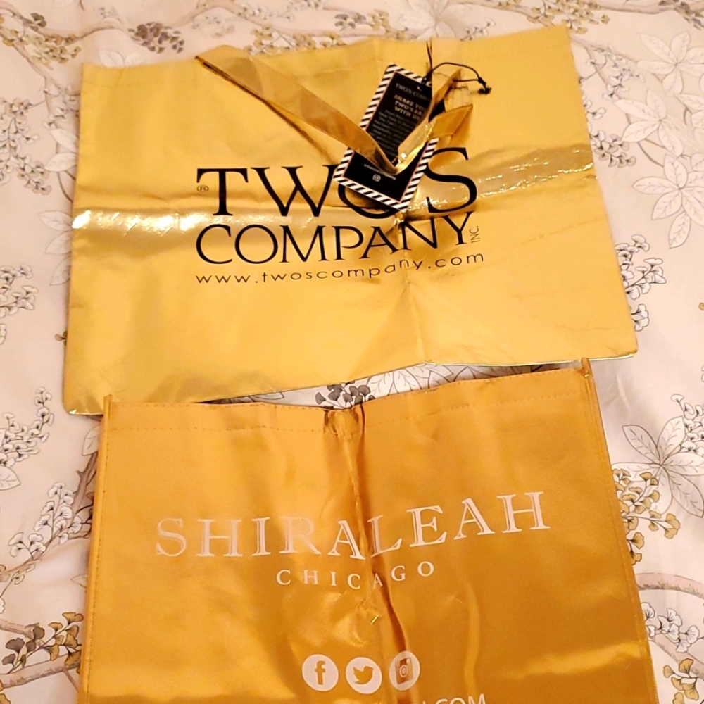 Bags, metallic bags to carry all, lightweight